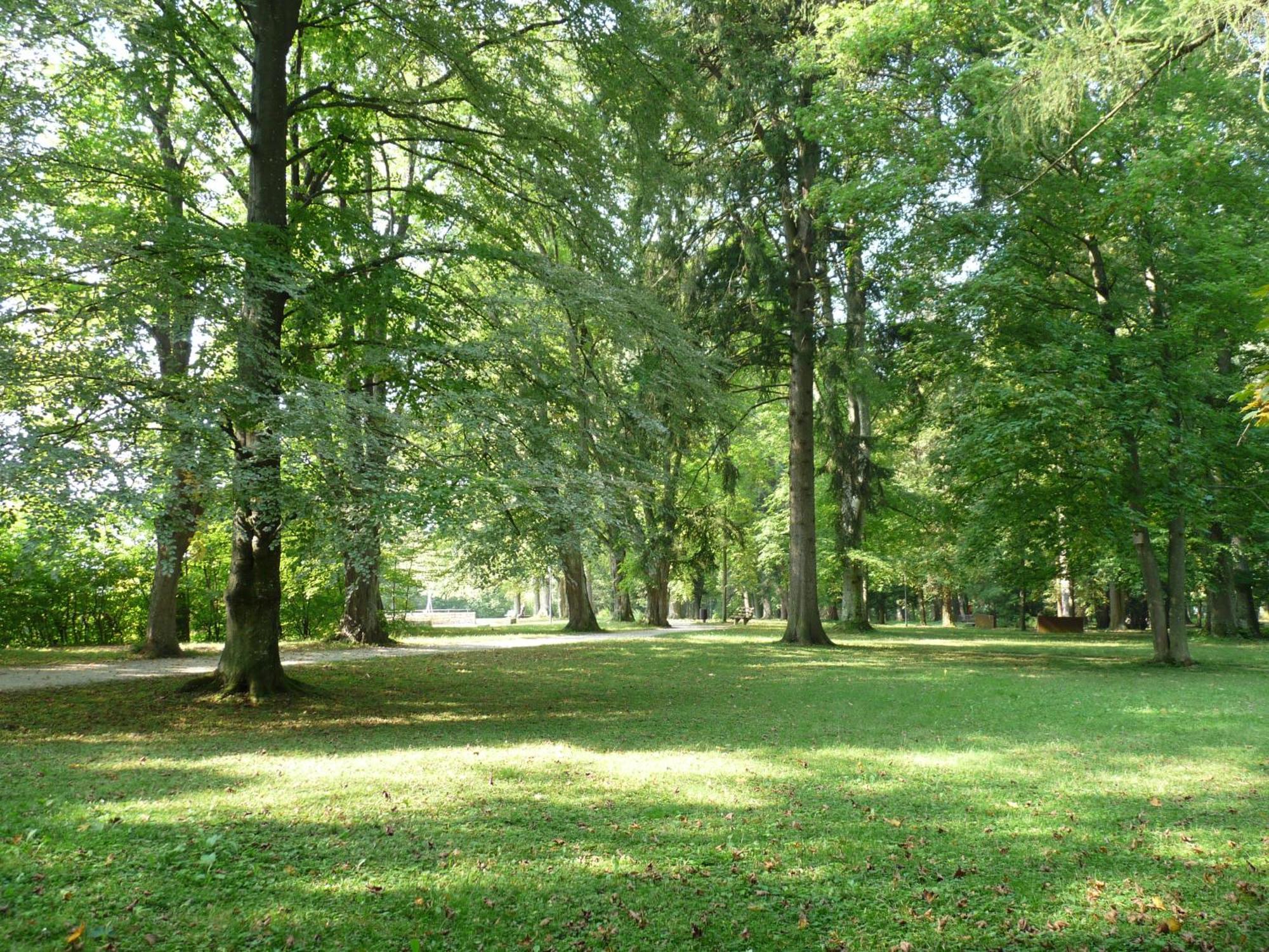 Parkhotel Zur Klause Bad Hall Buitenkant foto